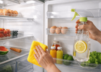 Tips mencuci kulkas yang benar agar bebas bau dan kuman setelah ditinggal mudik.