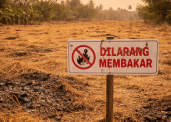 Ilustrasi kondisi lahan kering yang rawa terbakar akibat suhu ekstrem dan kelalaian manusia di musim kemarau.