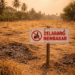 Ilustrasi kondisi lahan kering yang rawa terbakar akibat suhu ekstrem dan kelalaian manusia di musim kemarau.