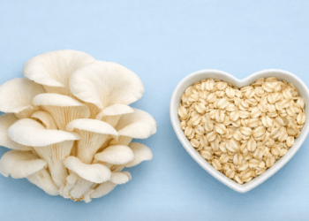 Visualisasi manfaat Cara Menurunkan Kolesterol dengan Jamur guna menjaga kebersihan pembuluh darah manusia di tahun 2026.