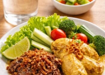 Ilustrasi tips makan opor dan rendang aman kolesterol