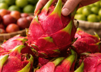 Panduan cara Memilih Buah Lokal Segar di pasar tradisional guna mendapatkan bahan smoothie bowl terbaik di tahun 2026.
