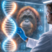Penelitian mendalam mengenai genetika orangutan dan kesehatan untuk memahami daya tahan tubuh kera besar.