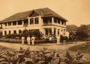 Gambaran suasana perkebunan yang mengawali terbentuknya Sejarah Nama Medan Marelan.