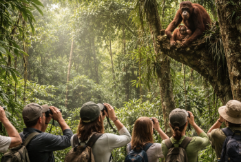 Wisatawan yang mematuhi etika bertemu orangutan dengan menjaga jarak aman di dalam hutan.