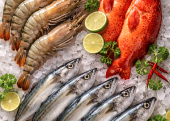 Berbagai jenis Komoditas Laut Belawan segar yang siap dipasarkan ke pasar domestik dan ekspor.