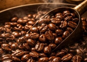 Biji kopi Arabika Mandheling berkualitas tinggi dengan warna cokelat gelap yang berkilau.