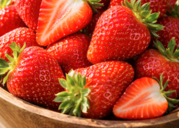 Kandungan nutrisi dan manfaat kesehatan stroberi Berastagi yang kaya akan vitamin C dan antioksidan alami.