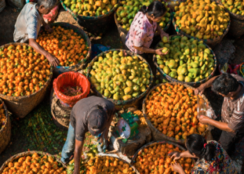 Tumpukan stok jeruk dan mangga segar di pusat distribusi Buah Pajak Sambu Medan.