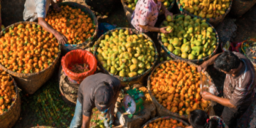 Tumpukan stok jeruk dan mangga segar di pusat distribusi Buah Pajak Sambu Medan.