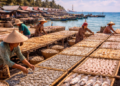 Proses penjemuran ikan asin tradisional yang menjadi penggerak utama ekonomi kampung nelayan.