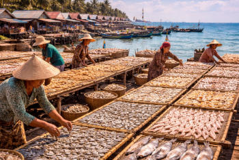 Proses penjemuran ikan asin tradisional yang menjadi penggerak utama ekonomi kampung nelayan.