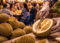 Kelezatan daging buah Durian Medan Enak yang memiliki tekstur lembut dengan perpaduan rasa manis dan pahit.