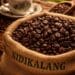 Biji kopi Sidikalang berkualitas tinggi dengan latar belakang cangkir kopi hitam yang mengepul