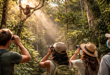 Wisatawan yang menerapkan etika wisata sehat untuk mendukung kesadaran masyarakat terhadap orangutan dan pelestarian alam.