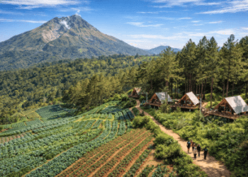Pemandangan asri dan udara sejuk di kawasan Wisata Alam Medan yang dikelilingi oleh pegunungan hijau.