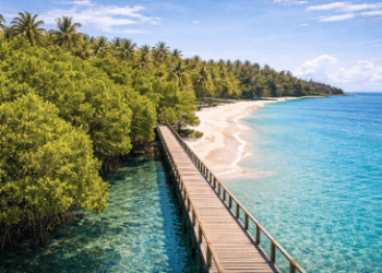 Keindahan hutan mangrove dan jembatan kayu di Pantai Mutiara Sergai, destinasi pantai di Medan yang sangat asri.