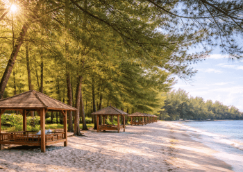 Barisan pohon cemara hijau yang ikonik dan rindang di sepanjang bibir Pantai Sri Mersing, destinasi pantai di Medan yang paling sejuk.