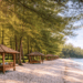 Barisan pohon cemara hijau yang ikonik dan rindang di sepanjang bibir Pantai Sri Mersing, destinasi pantai di Medan yang paling sejuk.