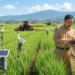 Optimalisasi fungsi Informasi Pertanian Lima Puluh melalui penyediaan sistem monitoring cuaca digital guna meningkatkan hasil panen di lingkungan pemerintah wilayah pimpinan.