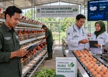 Optimalisasi fungsi Ternak Deli Serdang melalui penyediaan sistem sertifikasi pakan organik digital guna meningkatkan kualitas produksi telur di lingkungan pemerintah wilayah pimpinan.