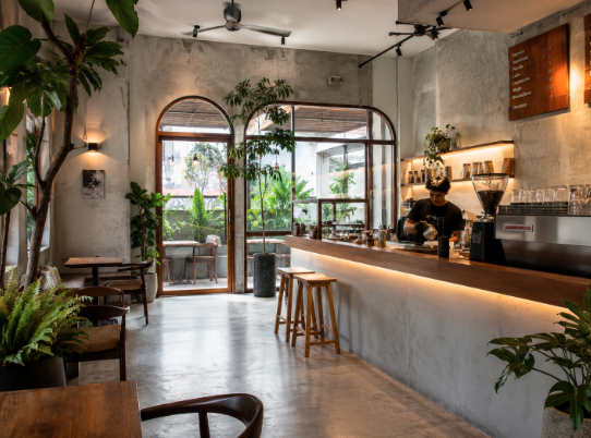 Suasana dalam ruangan cafe modern yang estetis dengan jajaran kursi kayu dan tanaman hijau di salah satu cafe di Medan