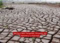 Apa Itu El Niño? Pengertian, Penyebab, dan Dampaknya di Indonesia