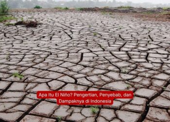 Apa Itu El Niño? Pengertian, Penyebab, dan Dampaknya di Indonesia
