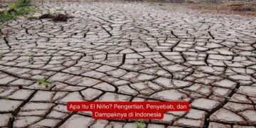 Apa Itu El Niño? Pengertian, Penyebab, dan Dampaknya di Indonesia
