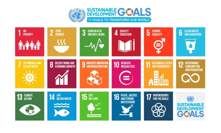 Apa itu SDGs dan 17 Tujuannya? Simak Penjelasan Lengkapnya