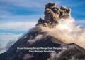 Erupsi Gunung Berapi: Pengertian, Dampak, dan Cara Menjaga Kesehatan
