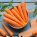 Manfaat dan Kandungan Wortel yang Jarang Diketahui Banyak Orang