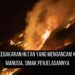 Dampak Kebakaran Hutan yang Mengancam Kehidupan Manusia, Simak Penjelasannya