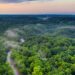 10 Fungsi Hutan bagi Manusia dan Lingkungan yang Wajib Diketahui