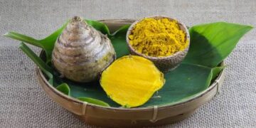 5 Manfaat Temulawak untuk Pencernaan dan Tips Aman Konsumsinya