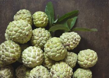Manfaat Buah Srikaya untuk Kesehatan Tubuh dan Kandungan Gizinya